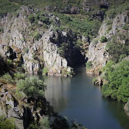 Alojamento de Turismo Rural Quinta Da Rocha 1875 Pedrógão Pequeno